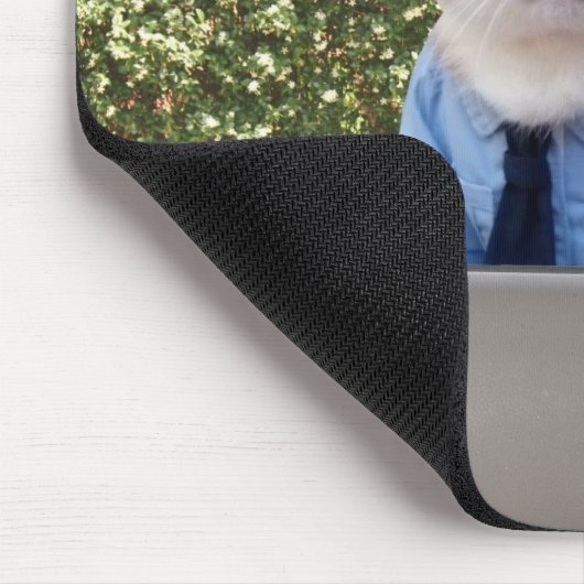  functionaris Cat Muismat (Hoek)