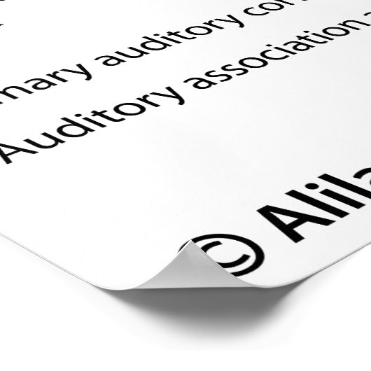 Functionele gebieden van de hersenschors. poster (Hoek)