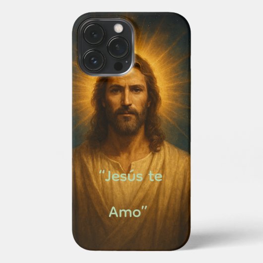 funda iphone 13 pro max hoesje (Achterkant)