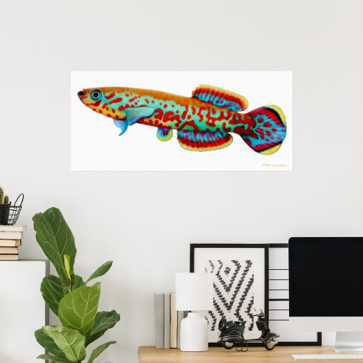 Fundulopanchax Gardneri Killifish Poster (Thuiskantoor)
