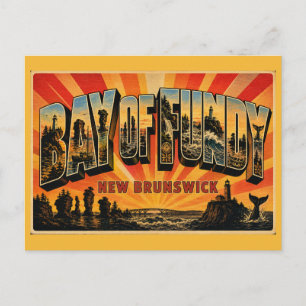 Fundybaai New Brunswick Hoogste Getijden Briefkaart