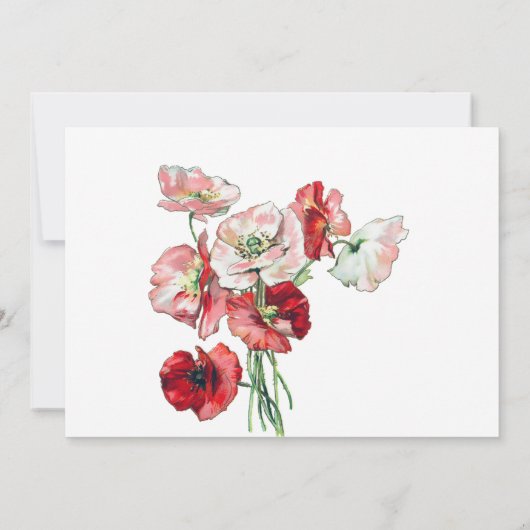 Funeral Bereavement Waterverf Poppies Bedankt (Achterkant)