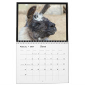 Fungerend en kalf wilde dieren voor kinderen #3 kalender (Feb 2027)