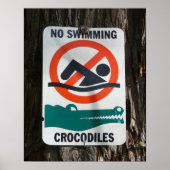 Fungerend NO SWIMMING Warning Sign Poster (Voorkant)