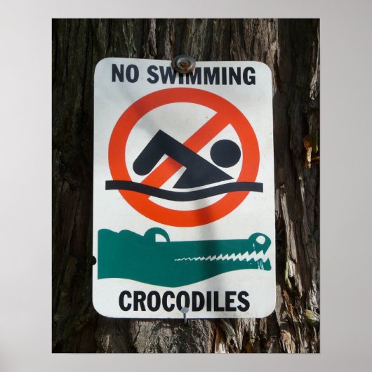 Fungerend NO SWIMMING Warning Sign Poster (Voorkant)