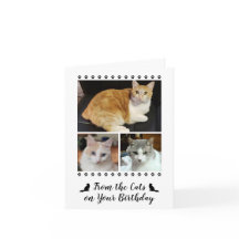 Fungerend vanuit Cat Dog Pet 3 Foto Script Birthda