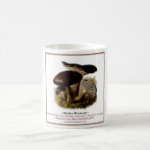 fungi #11 koffiemok (Center)