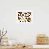 Fungi Art, Botanische paddenstoel Afdrukken, Keuke Poster (Keuken)