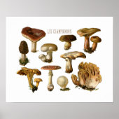 Fungi Art, Botanische paddenstoel Afdrukken, Keuke Poster (Voorkant)