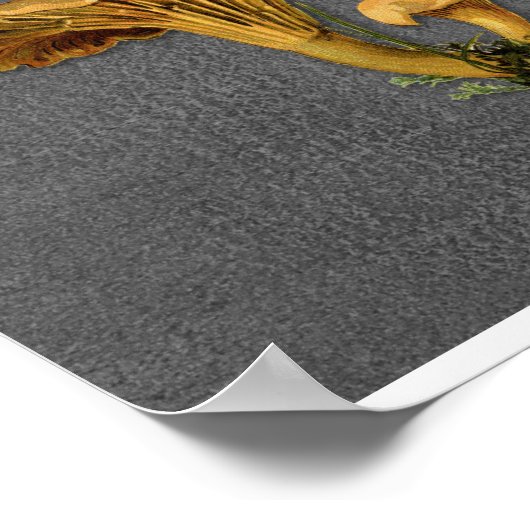 Fungi Art, Botanische paddenstoel Afdrukken, Keuke Poster (Hoek)