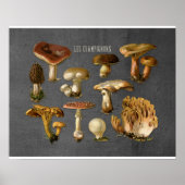 Fungi Art, Botanische paddenstoel Afdrukken, Keuke Poster (Voorkant)