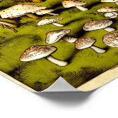 Fungi Art Print (Hoek)