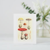 Fungi Briefkaart (Staand voorkant)