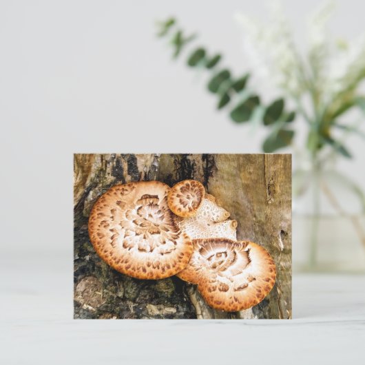 FUNGI BRIEFKAART (Staand voorkant)