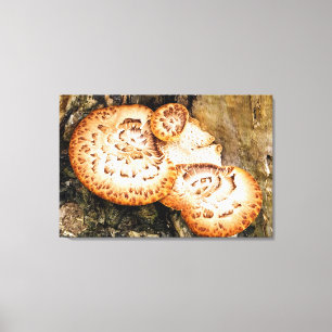 FUNGI CANVAS AFDRUK