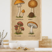 Fungi Chronicles: een Antiek mycologische studie Poster (Keuken)