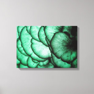 Fungi Flowers/Natuur Abstract Canvas Afdruk