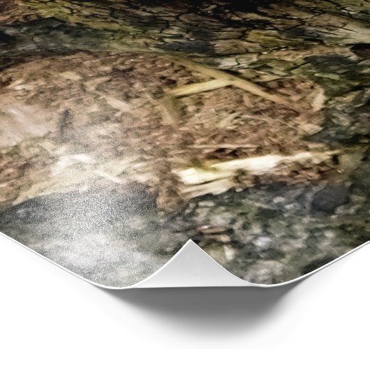 FUNGI FOTO AFDRUK (Hoek)