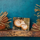 FUNGI FOTOPLAAT (Zijkant)