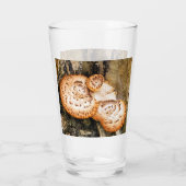 FUNGI GLAS (Achterkant)