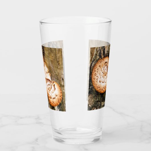 FUNGI GLAS (Links)