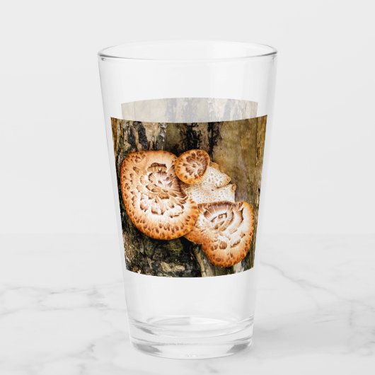 FUNGI GLAS (Voorkant)