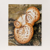 FUNGI LEGPUZZEL (Verticaal)