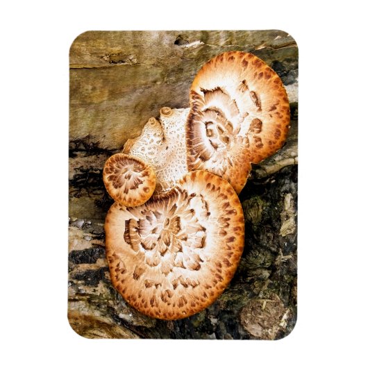 FUNGI MAGNEET (Verticaal)