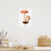 Fungi Poster (Keuken)