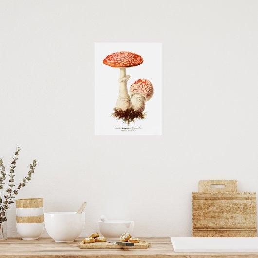 Fungi Poster (Keuken)