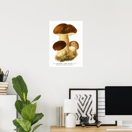 Fungi Poster (Thuiskantoor)