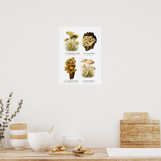 Fungi Poster (Keuken)