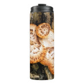 FUNGI THERMOSBEKER (Voorkant)