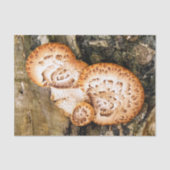 FUNGI TISSUEPAPIER (Voorkant)