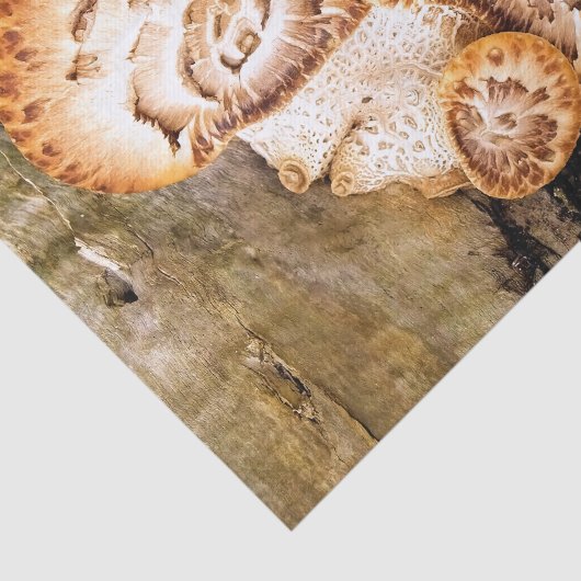 FUNGI TISSUEPAPIER (Detail)