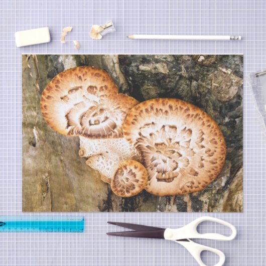 FUNGI TISSUEPAPIER (Craft)