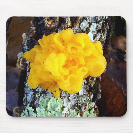Fungi Tremella Mesenterica Mouse Mat Muismat (Voorkant)
