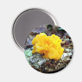 Fungi Tremella Mesenterica Mushroom Magneet (Voorkant / Achterkant)