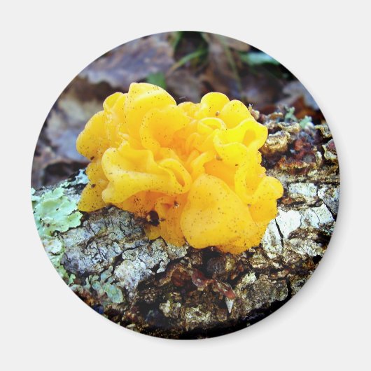 Fungi Tremella Mesenterica Mushroom Magneet (Voorkant)