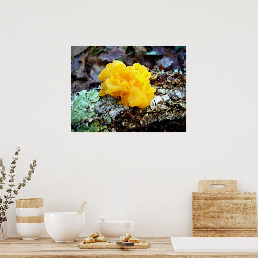 Fungi Tremella Mesenterica Poster (Keuken)