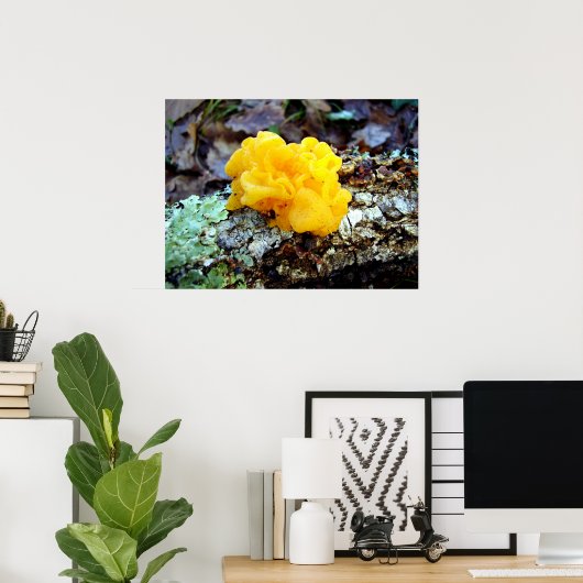 Fungi Tremella Mesenterica Poster (Thuiskantoor)