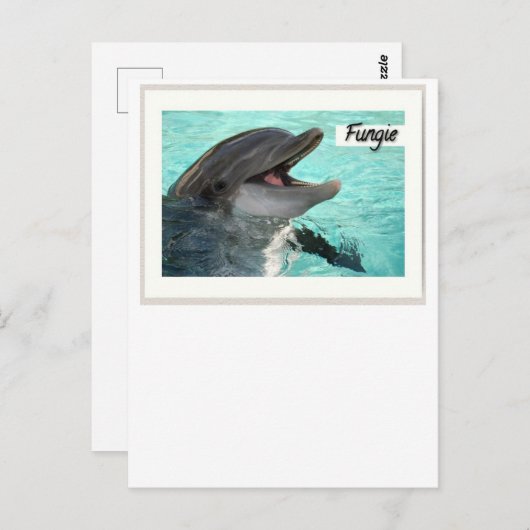 Fungie The Dolphin Briefkaart (Voorkant / Achterkant)