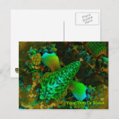 Fungus Briefkaart (Voorkant / Achterkant)