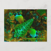 Fungus Briefkaart (Voorkant)