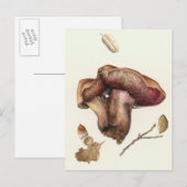 Fungus Briefkaart (Voorkant / Achterkant)