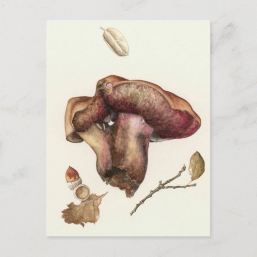 Fungus Briefkaart (Voorkant)