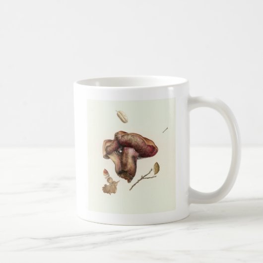 Fungus Koffiemok (Rechts)