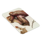 Fungus Magneet (Rechterzijde)