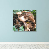 Fungus marches forward canvas afdruk (Insitu (Houten vloer))