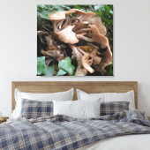 Fungus marches forward canvas afdruk (Insitu (Slaapkamer))